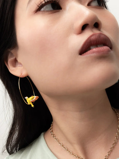 Grandes créoles oiseau Pic Flamboyant