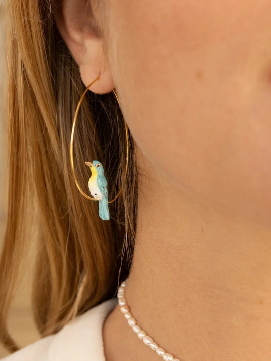 Parula creola blu grande