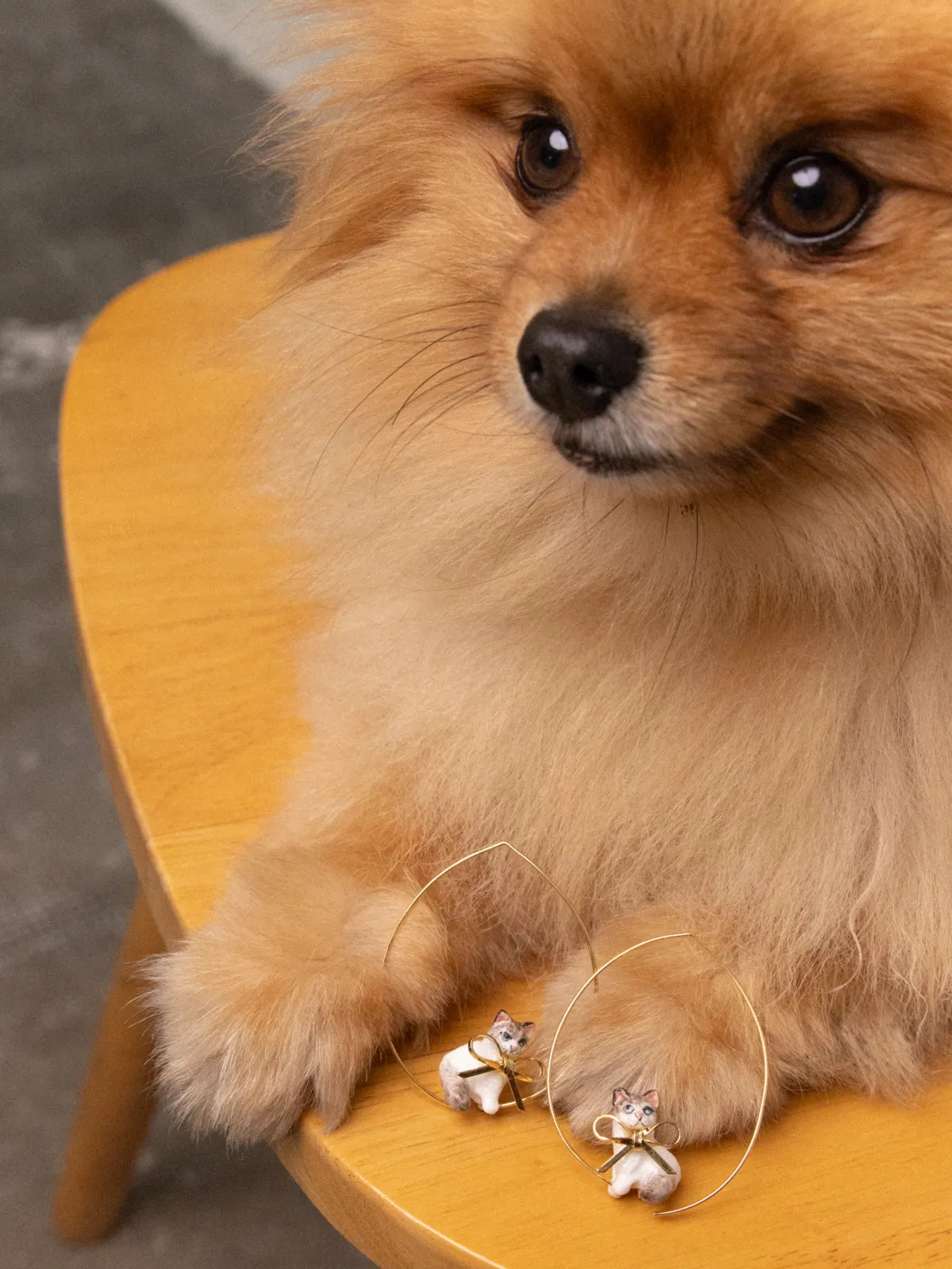 Grandi orecchini a cerchio con fiocco a forma di gatto Ragdoll