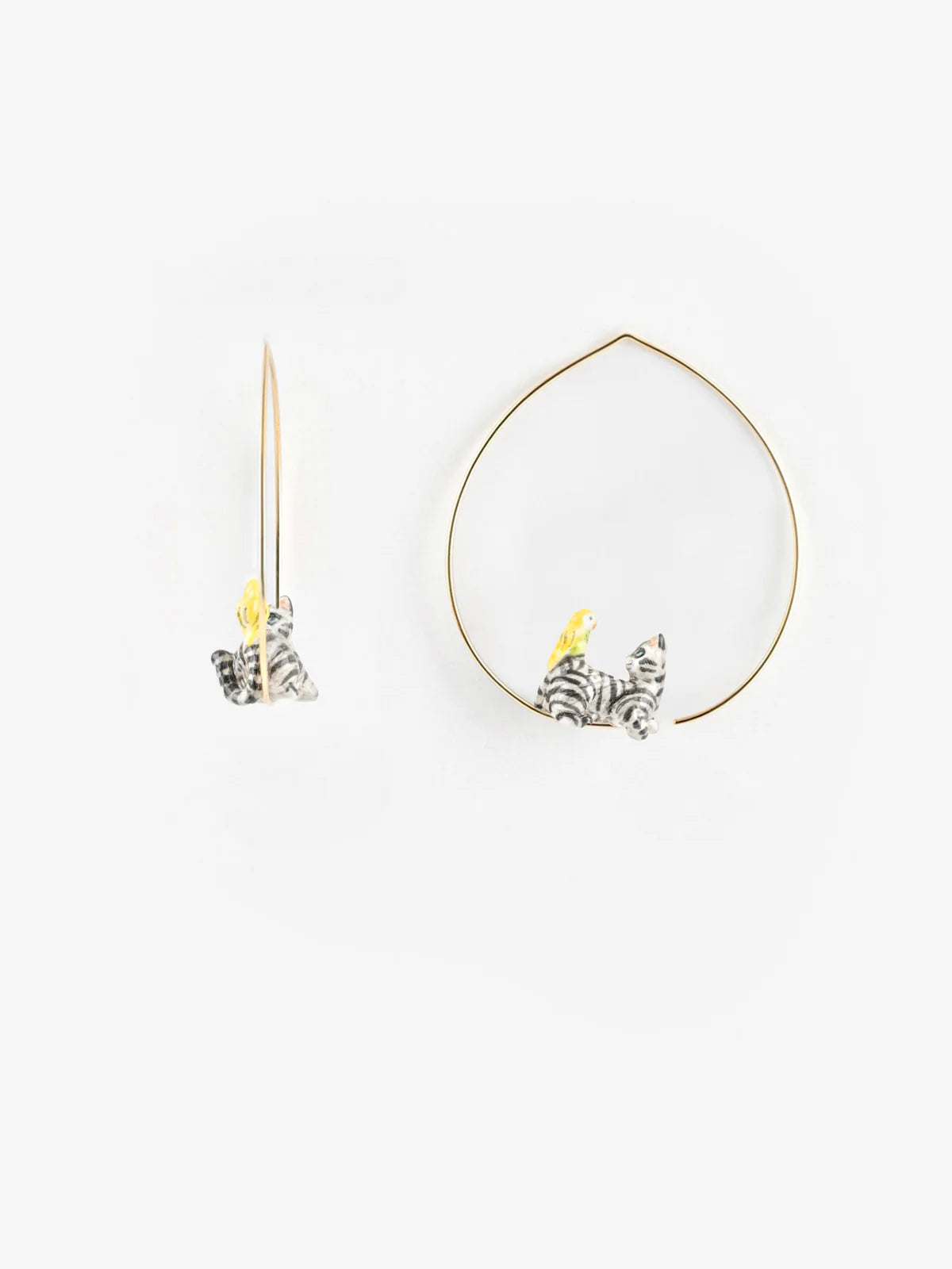 Medium Creole tabby cat and bird