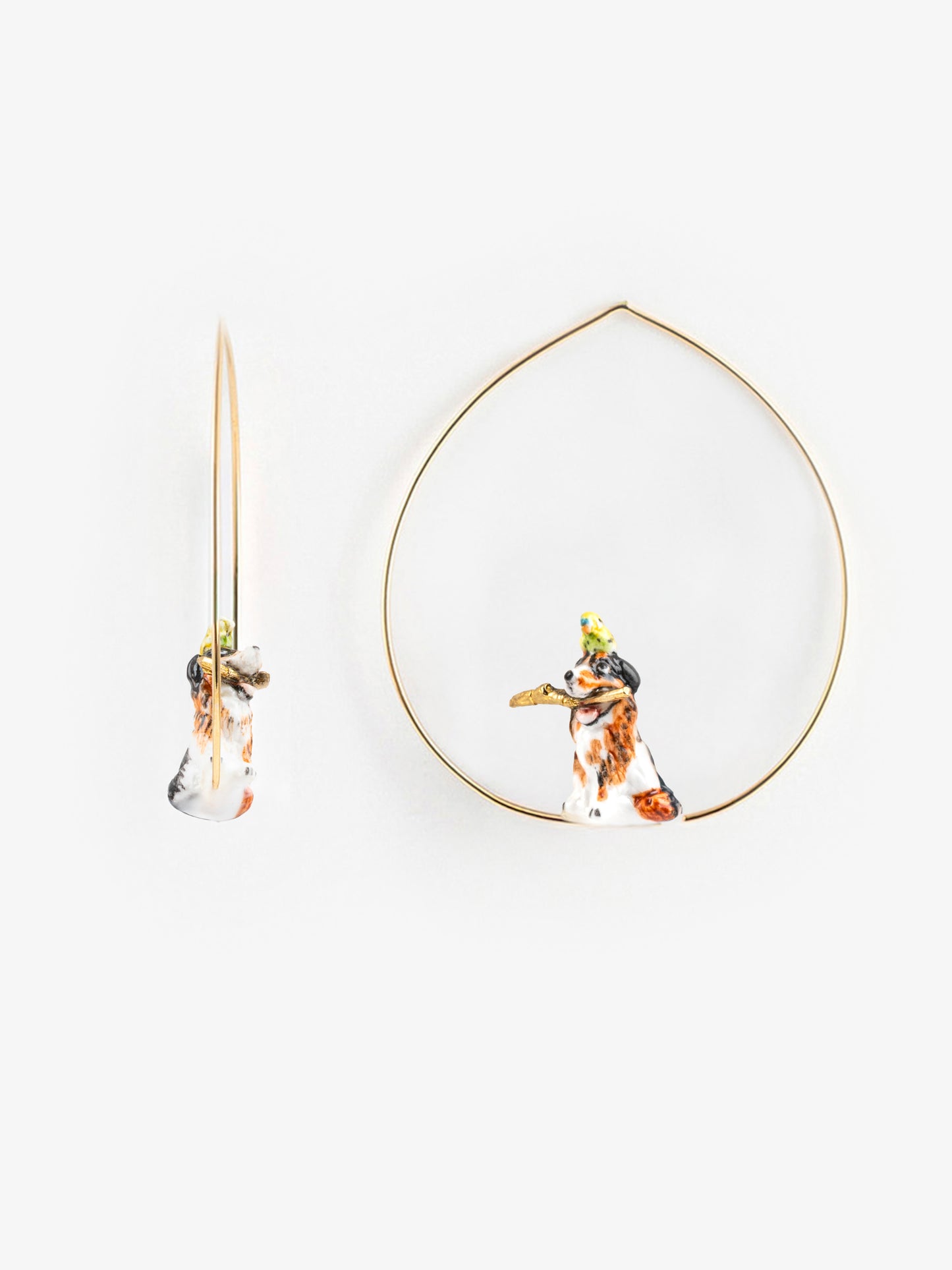 Grandes créoles chien Berger Australien et oiseau