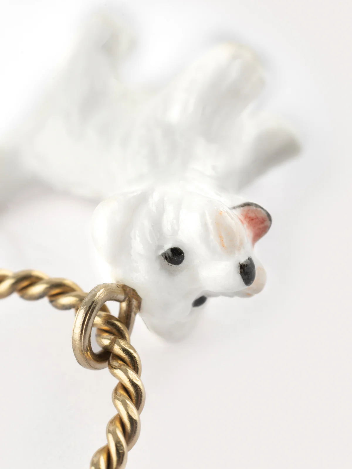 Mini créole chien Coton de Tulear - Vendue à l'unité