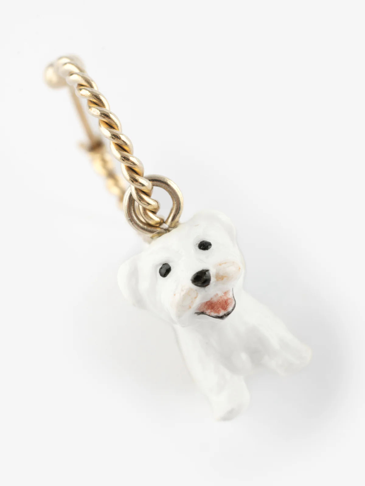 Mini créole chien Coton de Tulear - Vendue à l'unité