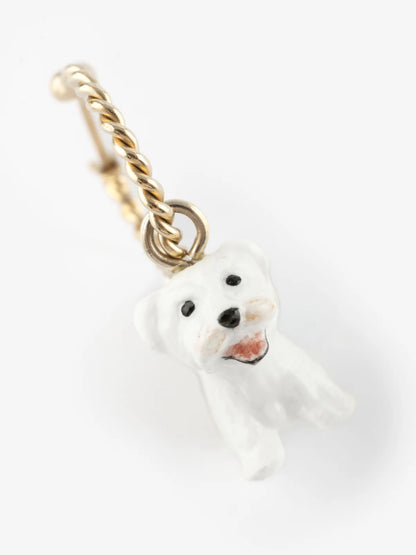 Mini créole chien Coton de Tulear - Vendue à l'unité