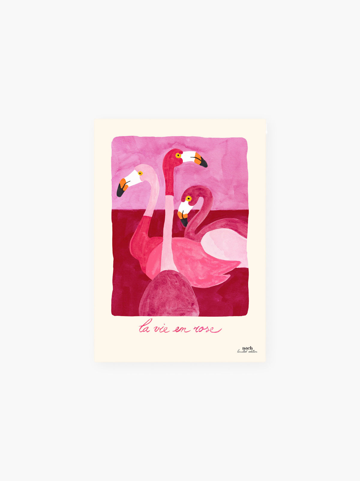 Poster A4 La vie en rose - 15 anni