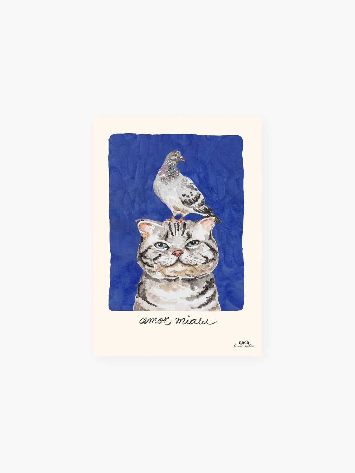 A4 poster Amor Miaw - 15 years