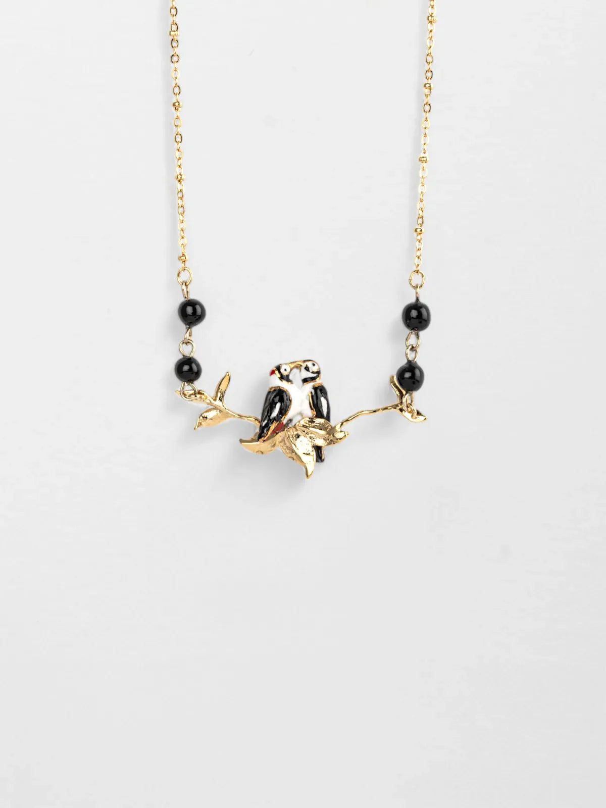 Uccelli dal collare, picchi macchiati