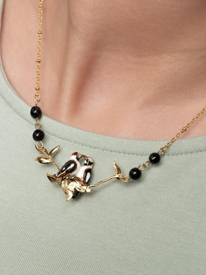 Uccelli dal collare, picchi macchiati