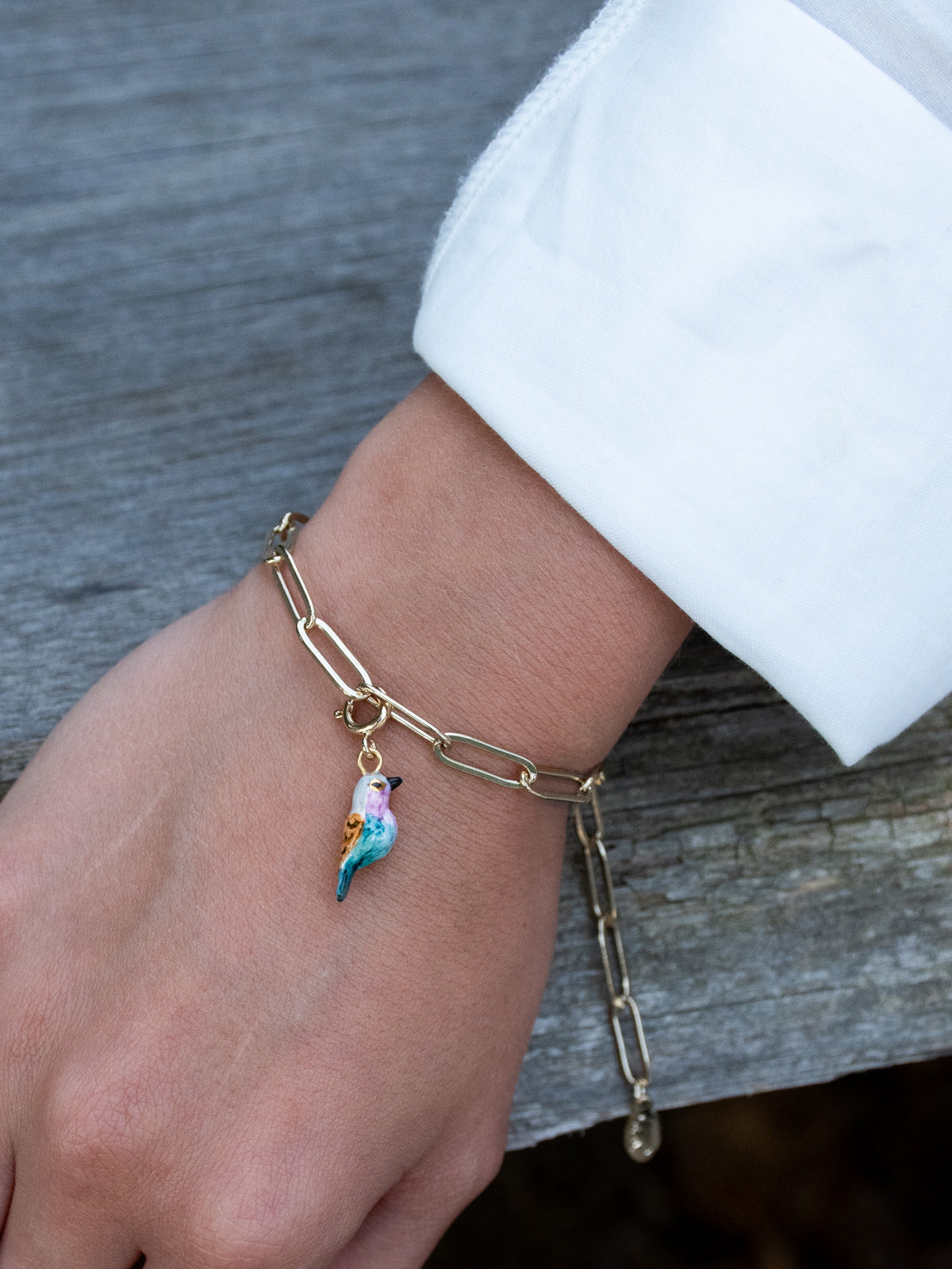 Charm's oiseau Rollier