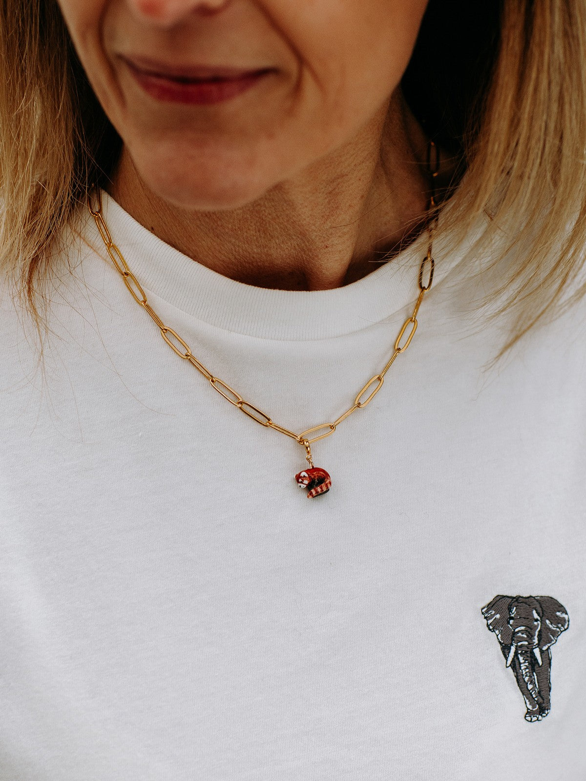 Charm's Red Panda - I Protetti