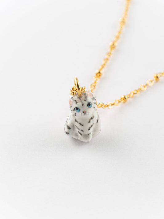 Collier chaton tabby
