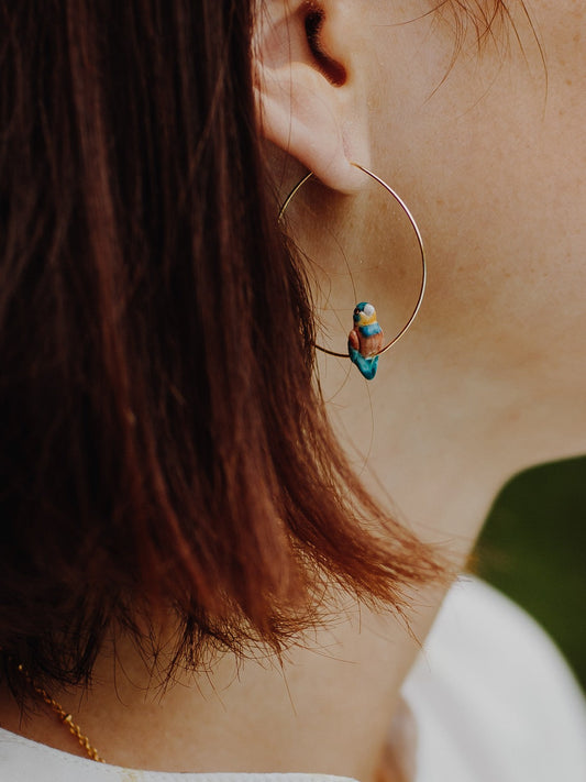 Petites créoles oiseau