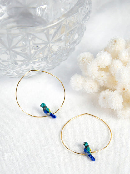 Petites créoles oiseau