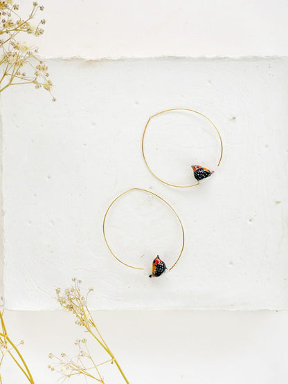 Petites créoles Sénégali de Verreaux