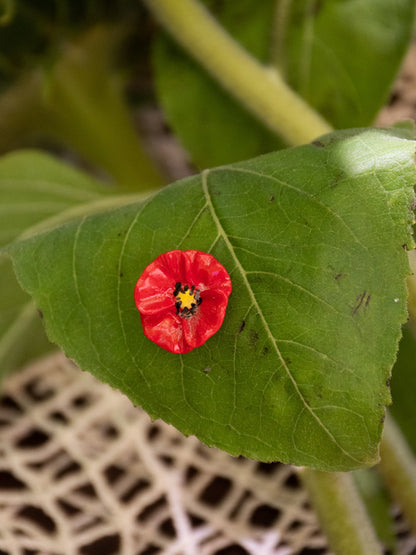 Pin's fleur coquelicot porcelaine Nach