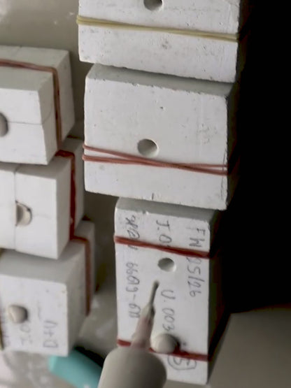 Orecchini pendenti con anemone blu